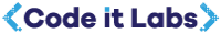 Holistic Customer Experience Logo