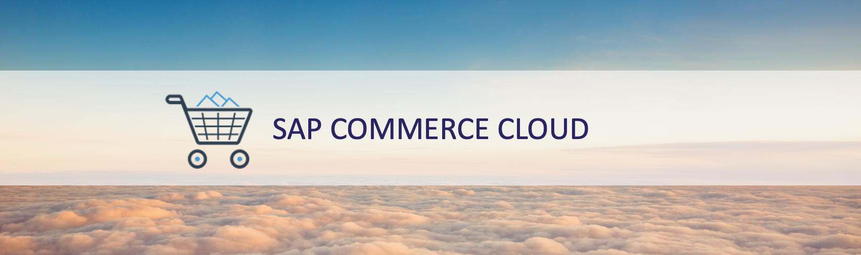 SAP Customer Experience Solution - SAP Commerce Cloud