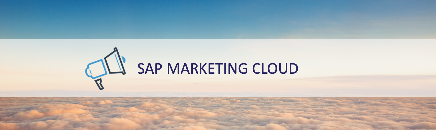 SAP Customer Experience Solution - SAP Marketing Cloud