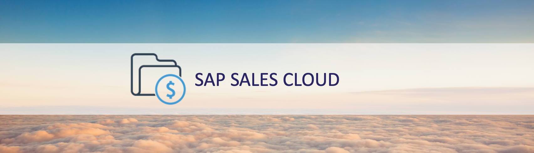 SAP Customer Experience Solution - SAP Sales Cloud