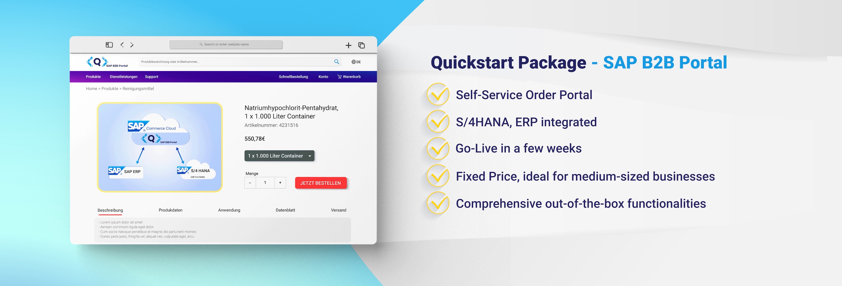 Banner Quickstart Package - SAP B2B Portal