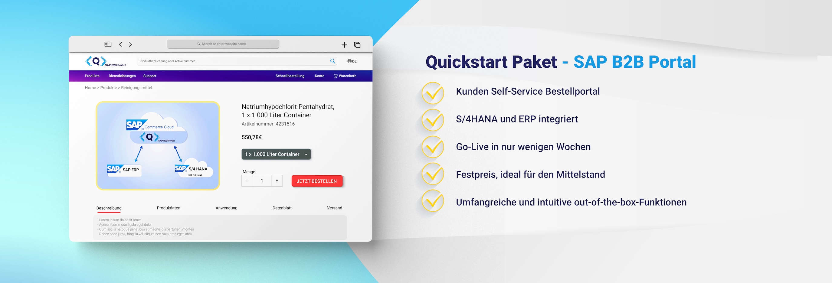 Banner Quickstart Paket - SAP B2B Portal