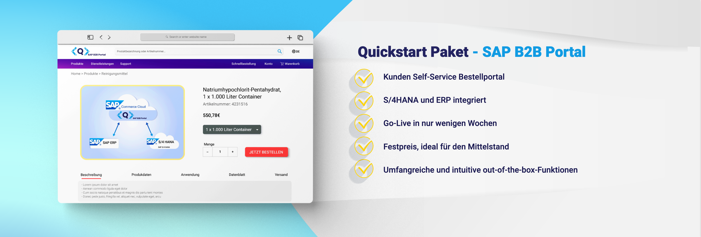 Quickstart Paket - SAP B2B Portal