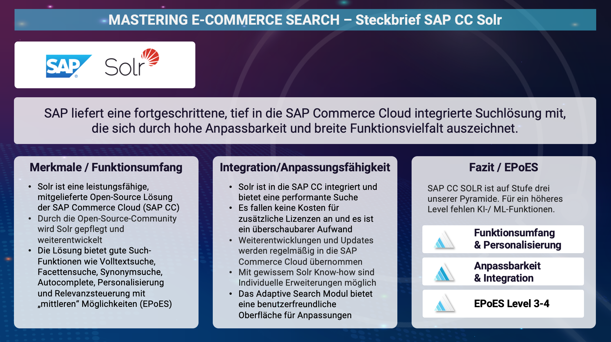 Steckbrief SAP Commerce Cloud Solr Suche